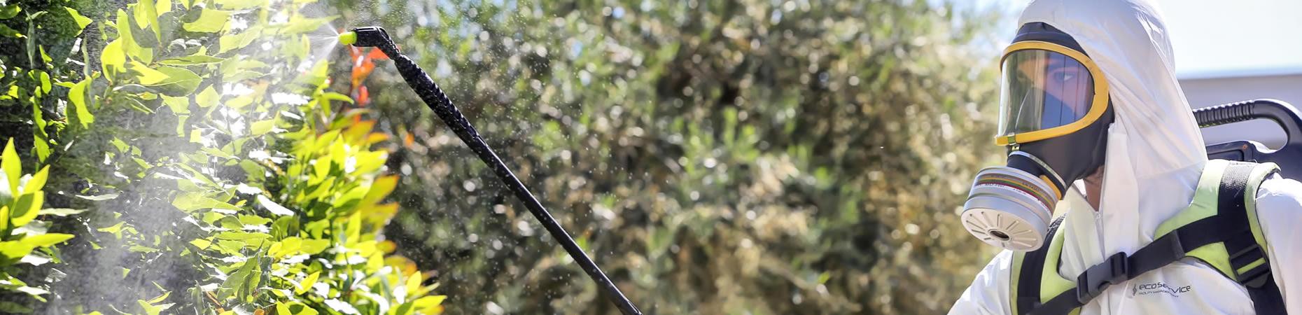 ecoservice-modena it disinfestazioni-disinfezioni-e-derattizzazioni-modena 005