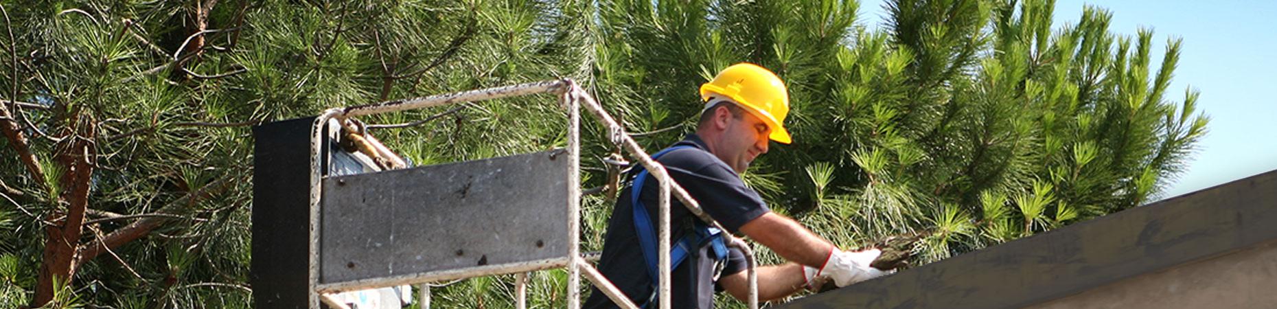 ecoservice-modena it pulizie-grondaie-modena 005