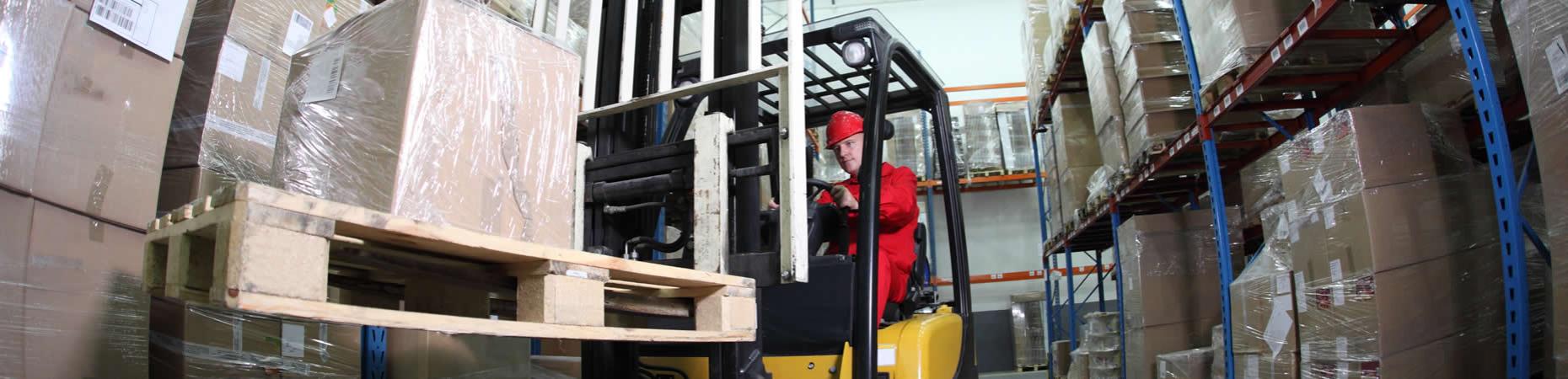 ecoservice-modena it servizi-logistica-settore-ittico-modena 005